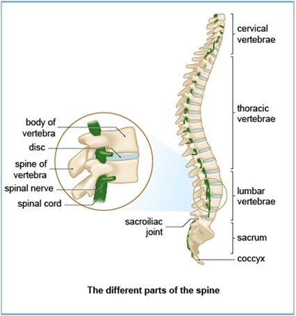 Perth Photo Medical Centre's Back Treatments